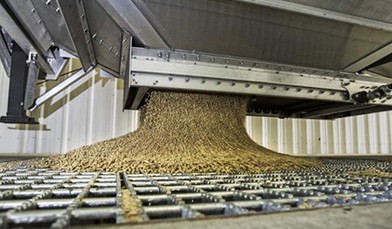 Container Flooring Plywood 7